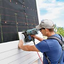 Best Vinyl Siding Installation  in Egypt, AL